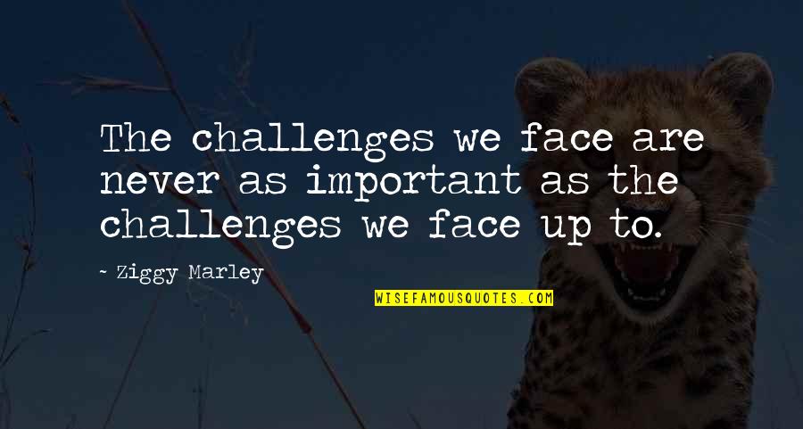 Seryosong Lalaki Quotes By Ziggy Marley: The challenges we face are never as important