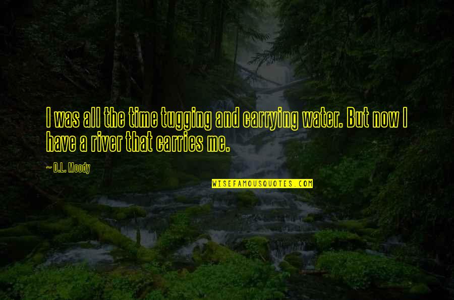 Sesis Doe Quotes By D.L. Moody: I was all the time tugging and carrying