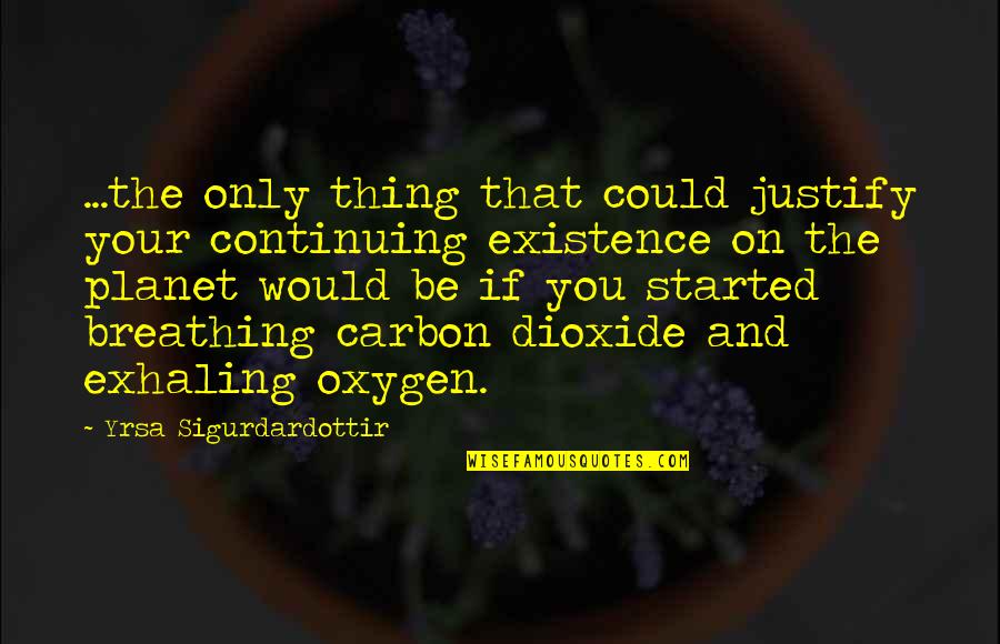 Sesostris I Quotes By Yrsa Sigurdardottir: ...the only thing that could justify your continuing