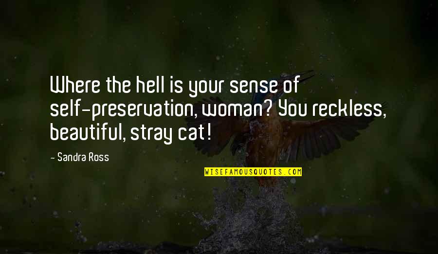 Sestakert Quotes By Sandra Ross: Where the hell is your sense of self-preservation, Sestakert Quotes By Sandra Ross: Where the hell is your sense of self-preservation,