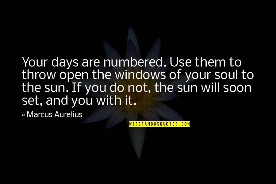 Set Goals Quotes By Marcus Aurelius: Your days are numbered. Use them to throw