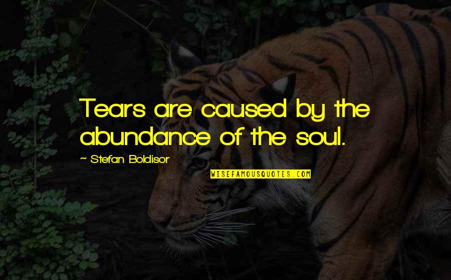 Setand Quotes By Stefan Boldisor: Tears are caused by the abundance of the