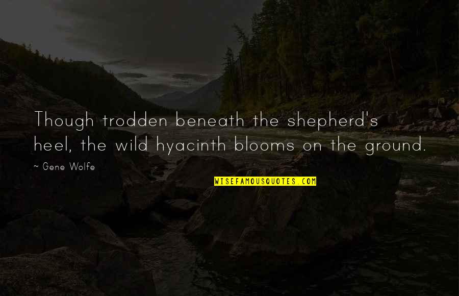 Setenay Gretmen Quotes By Gene Wolfe: Though trodden beneath the shepherd's heel, the wild