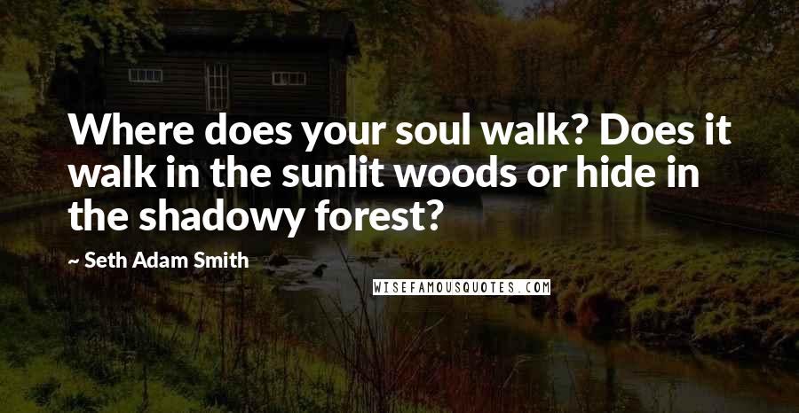 Seth Adam Smith quotes: Where does your soul walk? Does it walk in the sunlit woods or hide in the shadowy forest?