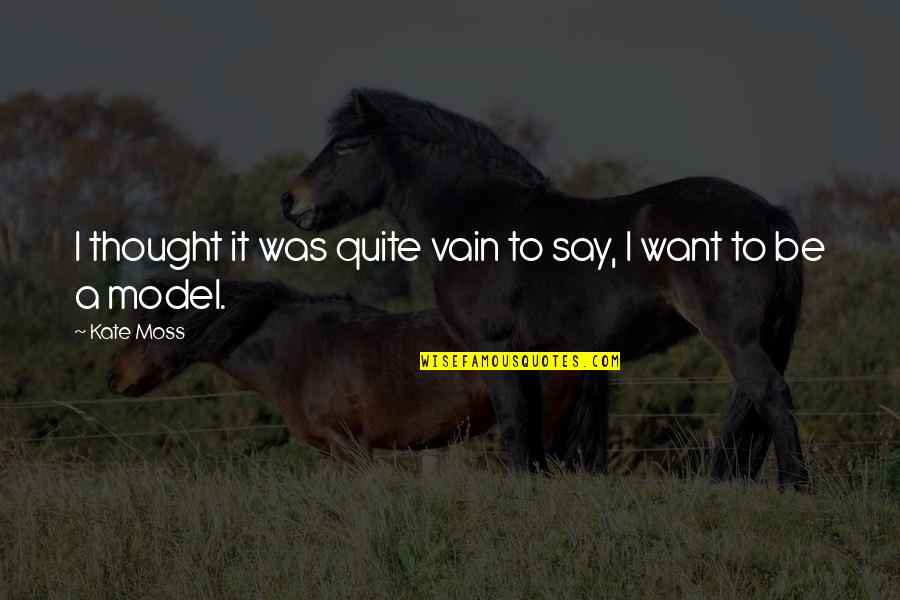 Seth Godin Inspirational Quotes By Kate Moss: I thought it was quite vain to say,