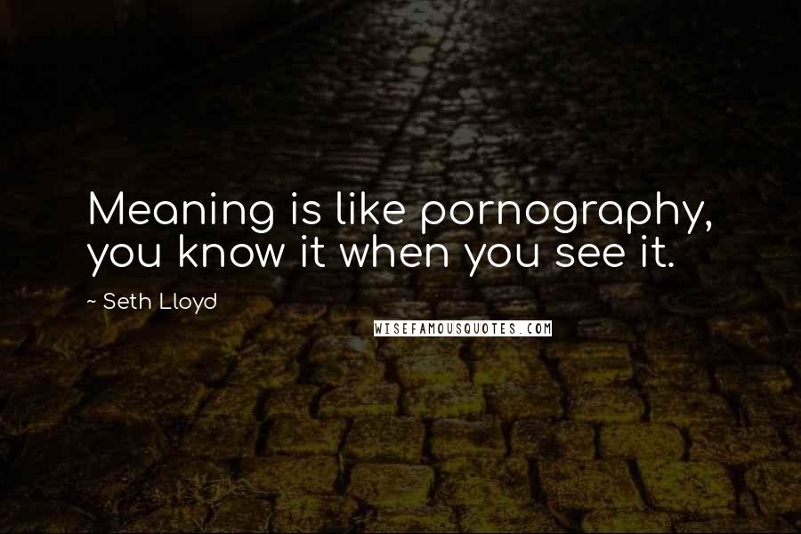 Seth Lloyd quotes: Meaning is like pornography, you know it when you see it.