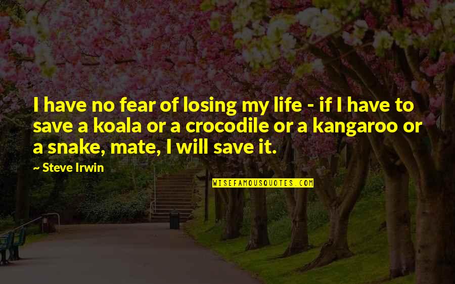 Seth Materials Quotes By Steve Irwin: I have no fear of losing my life