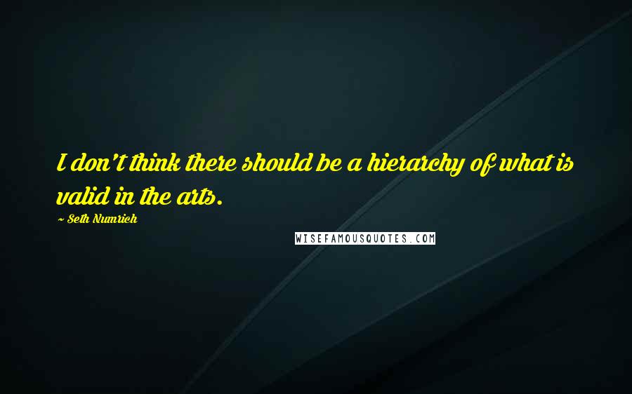 Seth Numrich quotes: I don't think there should be a hierarchy of what is valid in the arts.