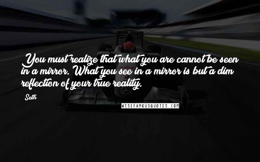 Seth quotes: You must realize that what you are cannot be seen in a mirror. What you see in a mirror is but a dim reflection of your true reality.