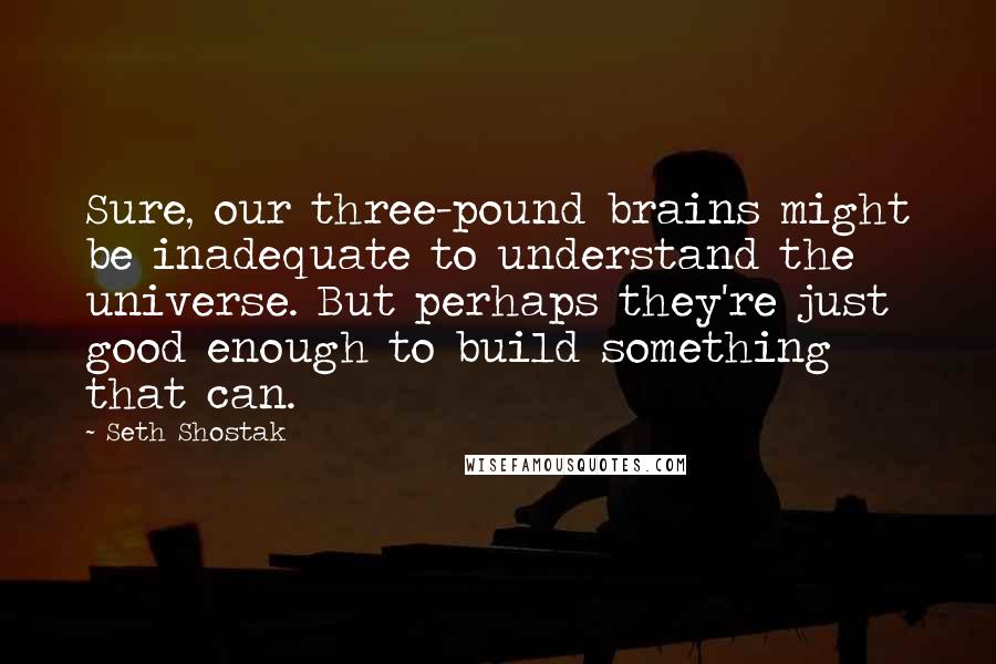 Seth Shostak quotes: Sure, our three-pound brains might be inadequate to understand the universe. But perhaps they're just good enough to build something that can.