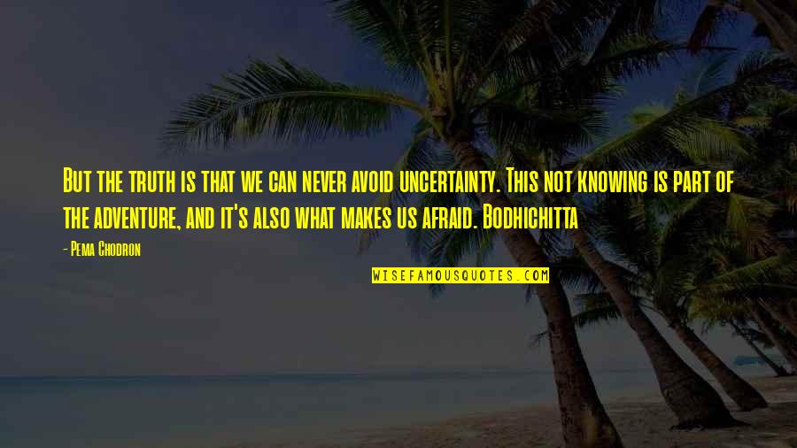 Settimo Mineo Quotes By Pema Chodron: But the truth is that we can never Settimo Mineo Quotes By Pema Chodron: But the truth is that we can never