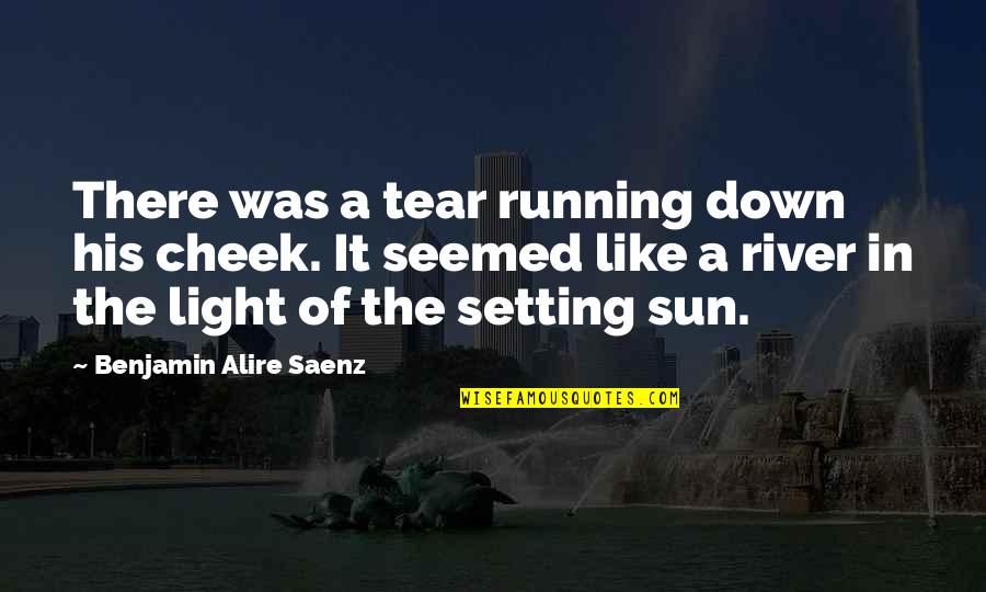 Setting Sun Quotes By Benjamin Alire Saenz: There was a tear running down his cheek.