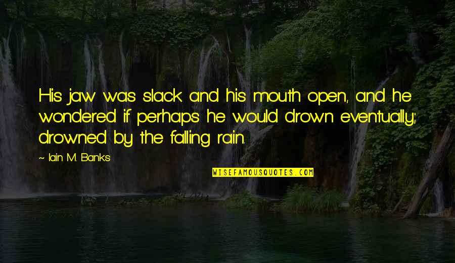 Setting Your Heart Free Quotes By Iain M. Banks: His jaw was slack and his mouth open,