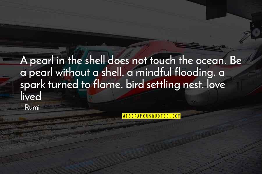Settling In Love Quotes By Rumi: A pearl in the shell does not touch