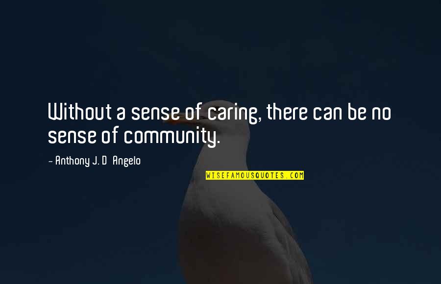 Setups Quotes By Anthony J. D'Angelo: Without a sense of caring, there can be