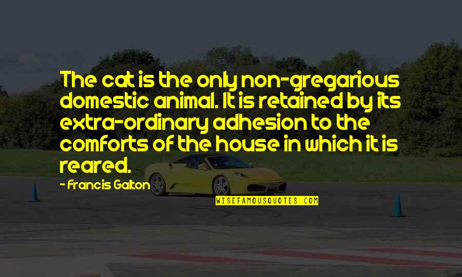 Seven Pound Quotes By Francis Galton: The cat is the only non-gregarious domestic animal.