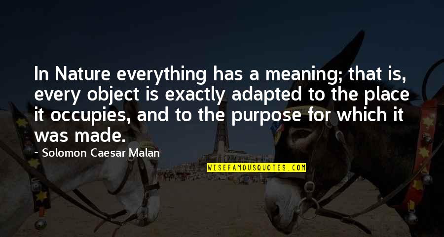 Seven Seconds Quotes By Solomon Caesar Malan: In Nature everything has a meaning; that is,