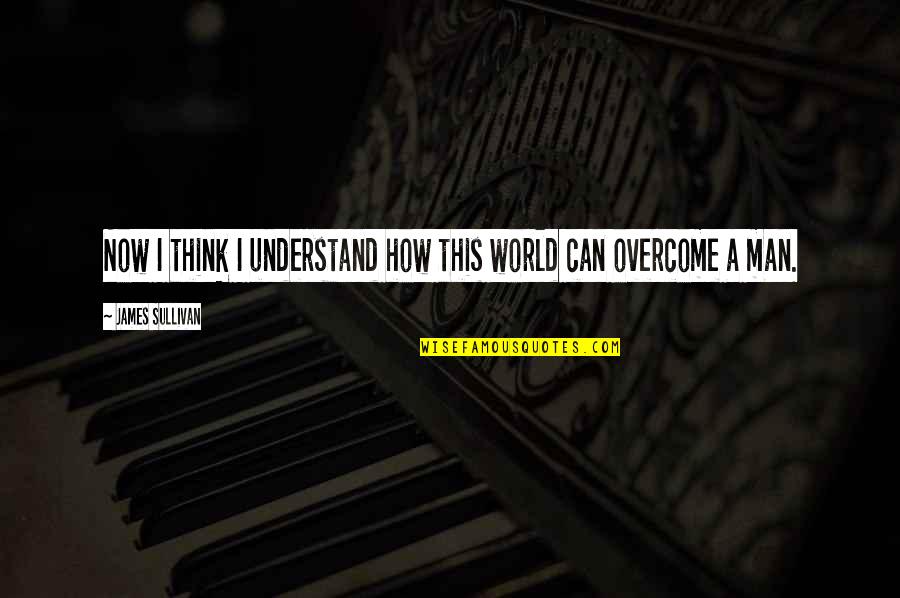 Sevenfold Quotes By James Sullivan: Now I think I understand how this world