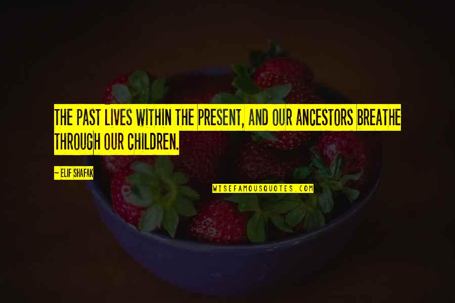 Seventeen Member Quotes By Elif Shafak: The past lives within the present, and our