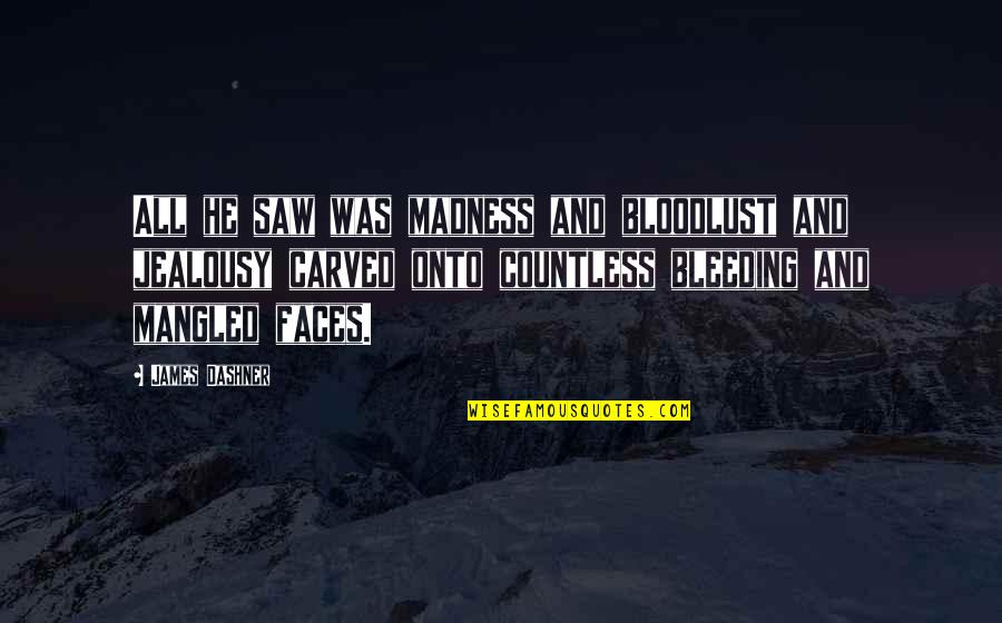 Seventeenth Quotes By James Dashner: All he saw was madness and bloodlust and