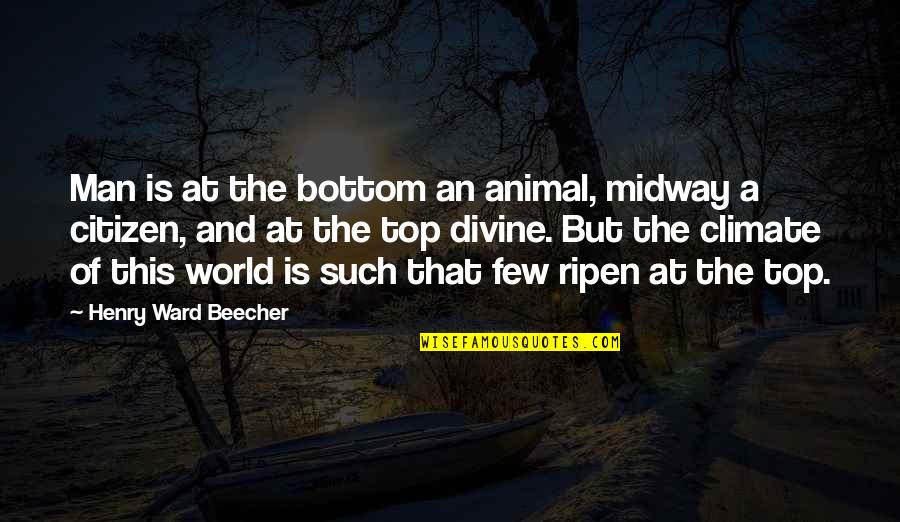 Seventh Birthday Quotes By Henry Ward Beecher: Man is at the bottom an animal, midway