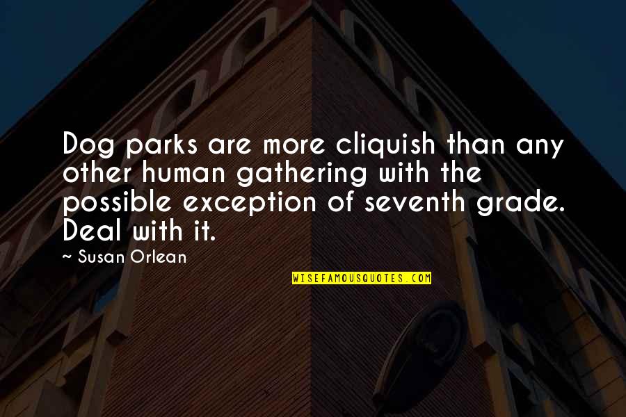 Seventh Grade Quotes By Susan Orlean: Dog parks are more cliquish than any other