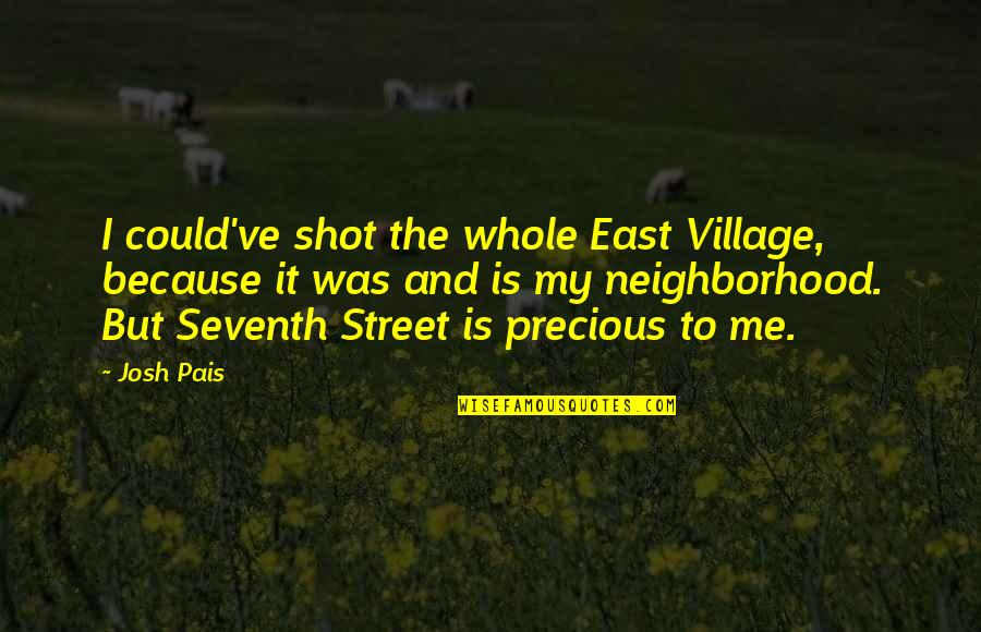 Seventh Quotes By Josh Pais: I could've shot the whole East Village, because
