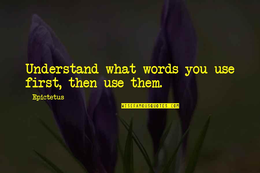 Seventh Son Of A Seventh Son Quotes By Epictetus: Understand what words you use first, then use