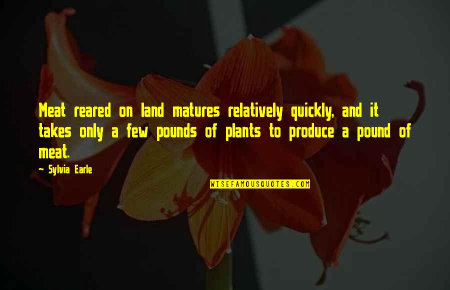 Seventieth Quotes By Sylvia Earle: Meat reared on land matures relatively quickly, and Seventieth Quotes By Sylvia Earle: Meat reared on land matures relatively quickly, and