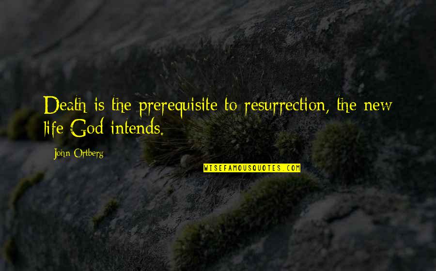Severeid From Chicago Quotes By John Ortberg: Death is the prerequisite to resurrection, the new