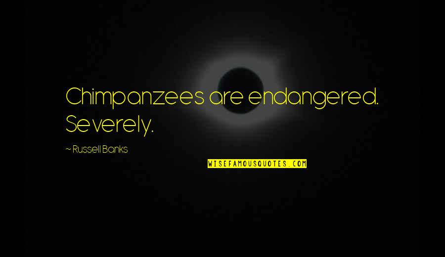 Severely Quotes By Russell Banks: Chimpanzees are endangered. Severely.