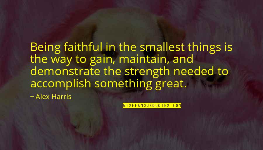 Severiano Barreto Quotes By Alex Harris: Being faithful in the smallest things is the