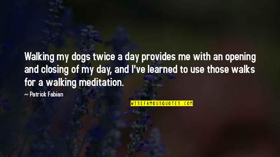 Sevisme Quotes By Patrick Fabian: Walking my dogs twice a day provides me Sevisme Quotes By Patrick Fabian: Walking my dogs twice a day provides me