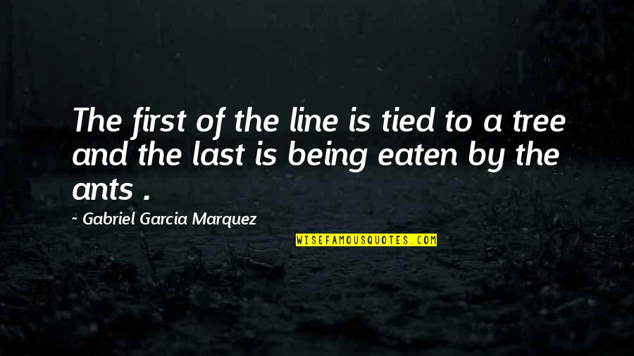 Sevsene Quotes By Gabriel Garcia Marquez: The first of the line is tied to
