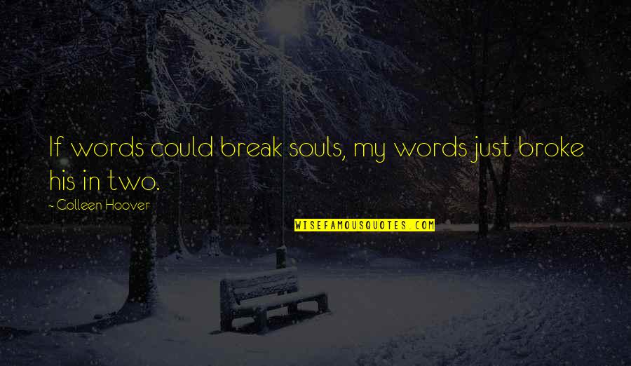 Sewage Quotes By Colleen Hoover: If words could break souls, my words just