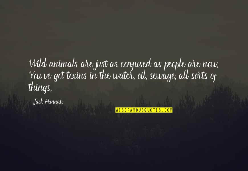 Sewage Quotes By Jack Hannah: Wild animals are just as confused as people