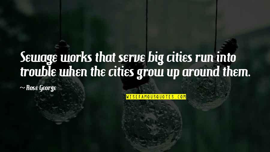 Sewage Quotes By Rose George: Sewage works that serve big cities run into