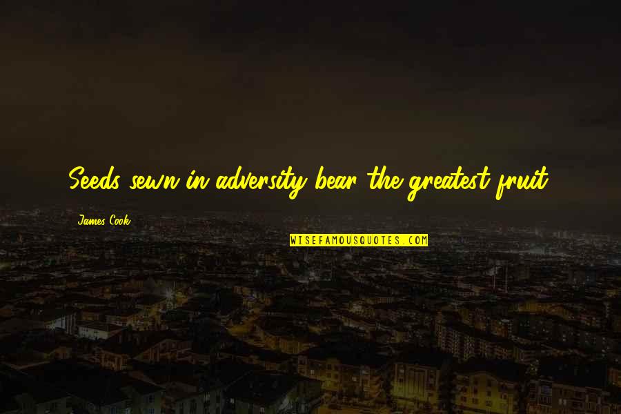 Sewn Quotes By James Cook: Seeds sewn in adversity bear the greatest fruit.