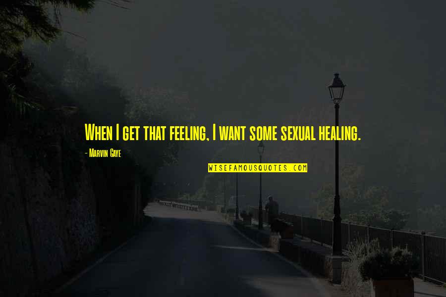 Sexual Feelings Quotes By Marvin Gaye: When I get that feeling, I want some