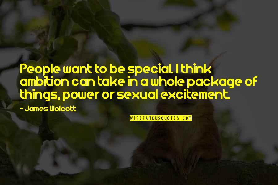 Sexual I Want You Quotes By James Wolcott: People want to be special. I think ambition