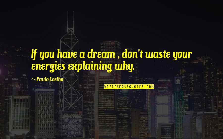 Sexual Innuendos Quotes By Paulo Coelho: If you have a dream , don't waste