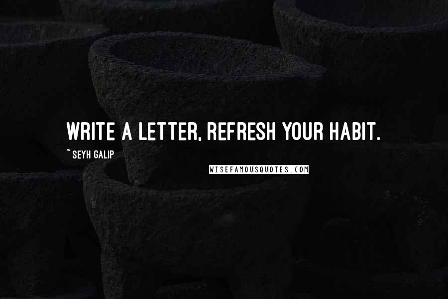 Seyh Galip quotes: Write a letter, refresh your habit.