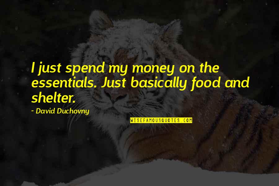 Seyring Quotes By David Duchovny: I just spend my money on the essentials.