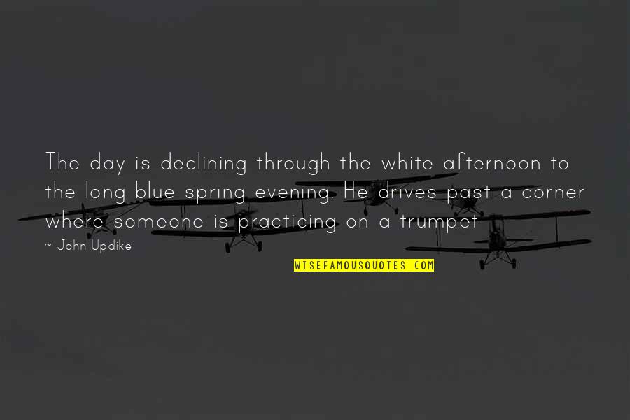 Sfc Leroy Petry Quotes By John Updike: The day is declining through the white afternoon