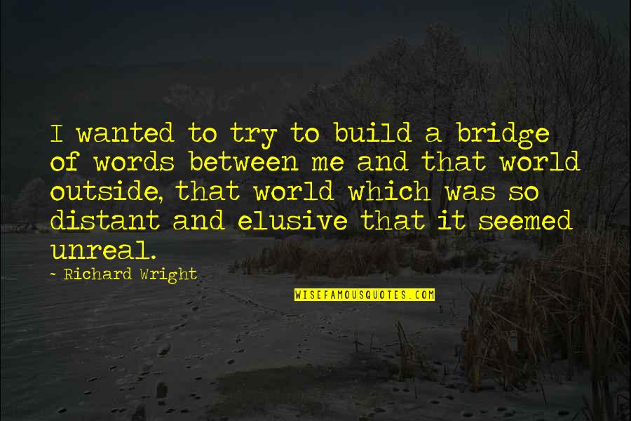 Sfumato Liquor Quotes By Richard Wright: I wanted to try to build a bridge