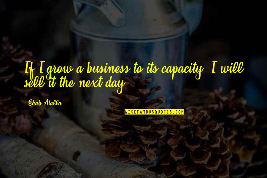 Shabaraba Quotes By Ehab Atalla: If I grow a business to its capacity,
