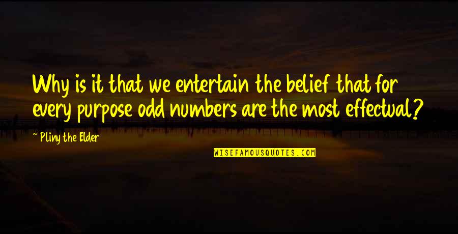Shabby Fabrics Quotes By Pliny The Elder: Why is it that we entertain the belief