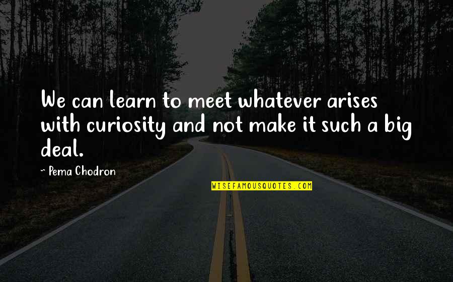 Shackley Xrf Quotes By Pema Chodron: We can learn to meet whatever arises with