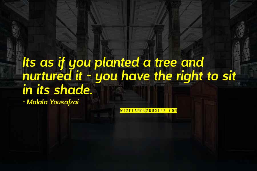 Shade Of Tree Quotes By Malala Yousafzai: Its as if you planted a tree and