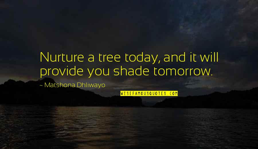 Shade Of Tree Quotes By Matshona Dhliwayo: Nurture a tree today, and it will provide